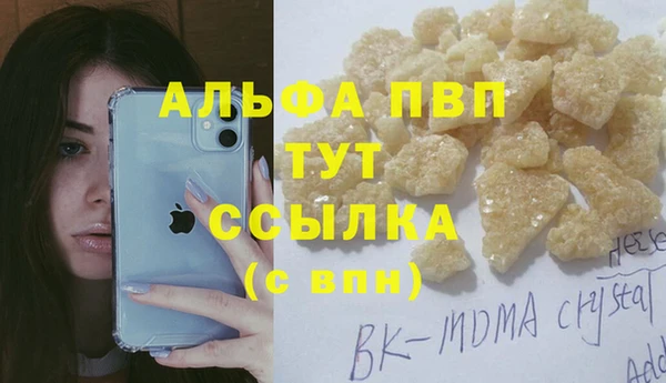 ПСИЛОЦИБИНОВЫЕ ГРИБЫ Новодвинск