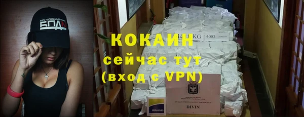 твердый Абаза