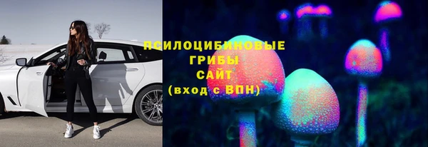 твердый Абаза