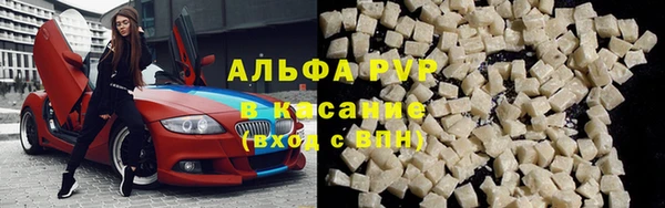 твердый Абаза